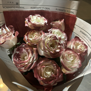 成人网站video视频
